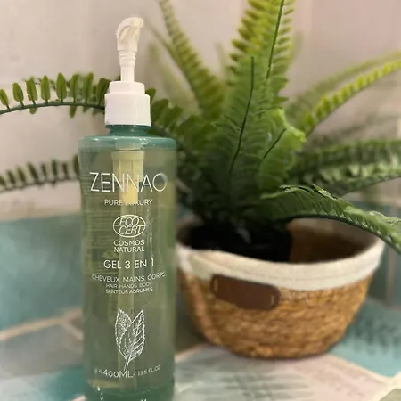 Apartment Cote Jardin - Voute By Prim0 C0nciergerie Aubière