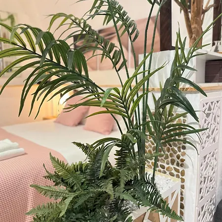 Apartment Cote Jardin - Voute By Prim0 C0nciergerie